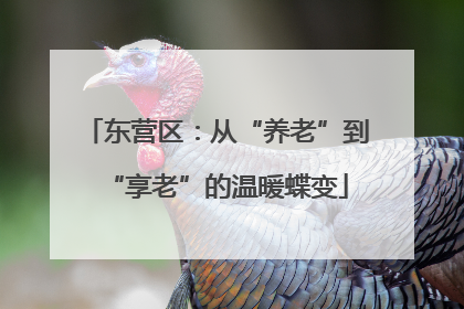 东营区：从“养老”到“享老”的温暖蝶变