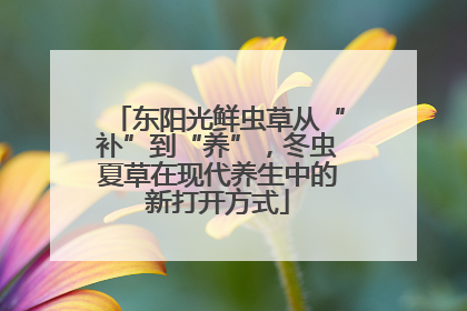 东阳光鲜虫草从“补”到“养”，冬虫夏草在现代养生中的新打开方式