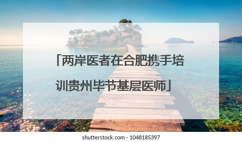 两岸医者在合肥携手培训贵州毕节基层医师