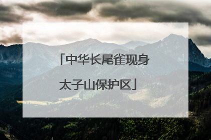 中华长尾雀现身太子山保护区