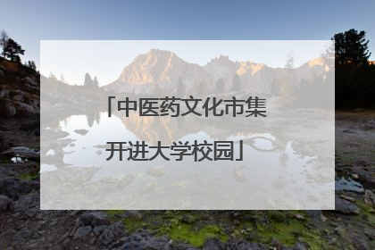 中医药文化市集开进大学校园