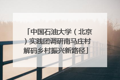 中国石油大学（北京）实践团调研南马庄村解码乡村振兴新路径