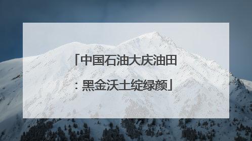 中国石油大庆油田：黑金沃土绽绿颜