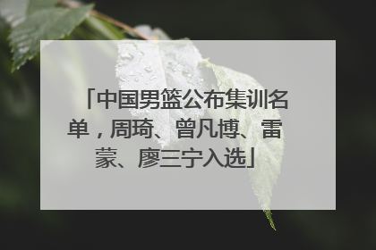 中国男篮公布集训名单，周琦、曾凡博、雷蒙、廖三宁入选
