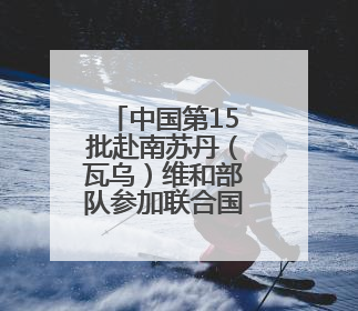 中国第15批赴南苏丹（瓦乌）维和部队参加联合国维和人员日纪念活动