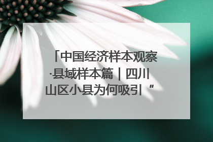 中国经济样本观察·县域样本篇｜四川山区小县为何吸引“村播”扎堆？