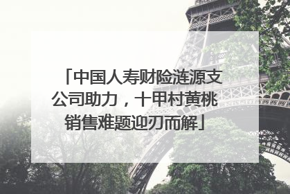 中国人寿财险涟源支公司助力，十甲村黄桃销售难题迎刃而解