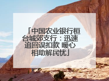 中国农业银行桓台城郊支行：迅速追回误扣款 暖心相助解民忧