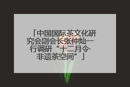 中国国际茶文化研究会副会长张仲灿一行调研“十二月令·非遗茶空间”