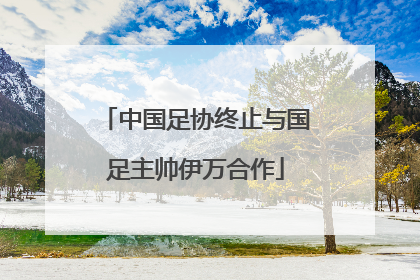 中国足协终止与国足主帅伊万合作