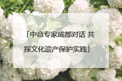 中意专家成都对话 共探文化遗产保护实践