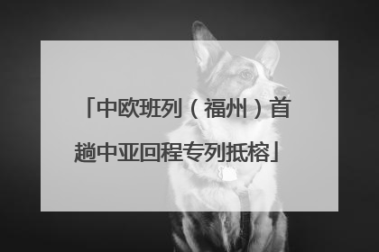 中欧班列（福州）首趟中亚回程专列抵榕