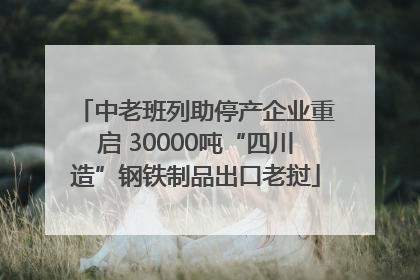 中老班列助停产企业重启 30000吨“四川造”钢铁制品出口老挝