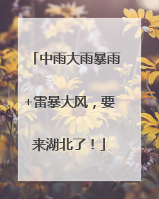 中雨大雨暴雨+雷暴大风，要来湖北了！