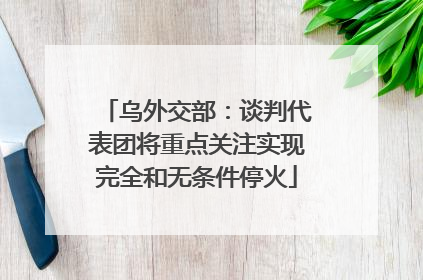 乌外交部：谈判代表团将重点关注实现完全和无条件停火