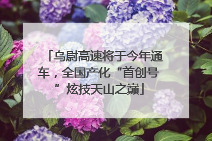 乌尉高速将于今年通车，全国产化“首创号”炫技天山之巅