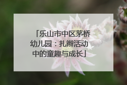 乐山市中区茅桥幼儿园：扎辫活动中的童趣与成长