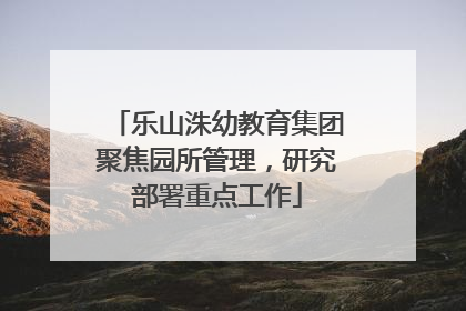 乐山洙幼教育集团聚焦园所管理，研究部署重点工作