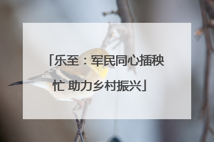 乐至：军民同心插秧忙 助力乡村振兴