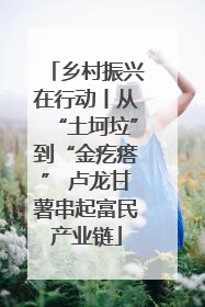乡村振兴在行动丨从“土坷垃”到“金疙瘩” 卢龙甘薯串起富民产业链