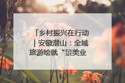 乡村振兴在行动｜安徽潜山：全域旅游绘就“景美业兴民富”新画卷