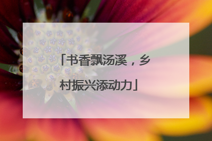 书香飘汤溪，乡村振兴添动力