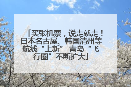 买张机票，说走就走！日本名古屋、韩国清州等航线“上新” 青岛“飞行圈”不断扩大