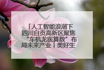 人工智能浪潮下 四川自贡高新区聚焦“车机龙医算数”布局未来产业丨美好生活有“盐”味