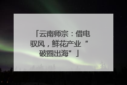 云南师宗：借电驭风，鲜花产业“破圈出海”