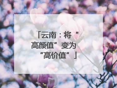 云南：将“高颜值”变为“高价值”