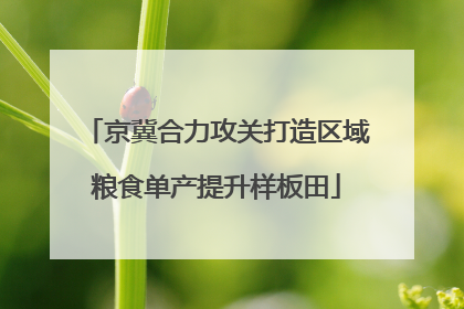 京冀合力攻关打造区域粮食单产提升样板田