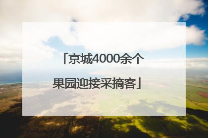 京城4000余个果园迎接采摘客