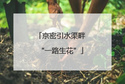 京密引水渠畔“一路生花”