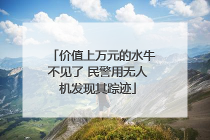 价值上万元的水牛不见了 民警用无人机发现其踪迹