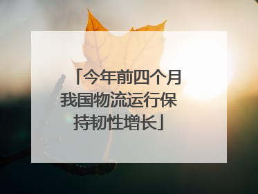 今年前四个月我国物流运行保持韧性增长