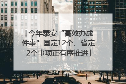 今年泰安“高效办成一件事”国定12个、省定2个事项正有序推进