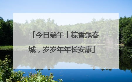 今日端午丨粽香飘春城，岁岁年年长安康