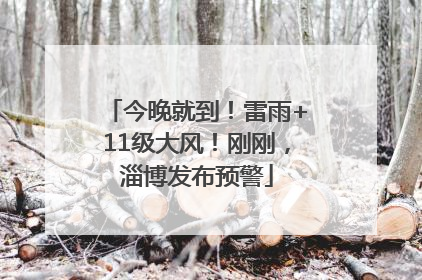 今晚就到！雷雨+11级大风！刚刚，淄博发布预警