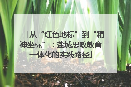 从“红色地标”到“精神坐标”：盐城思政教育一体化的实践路径
