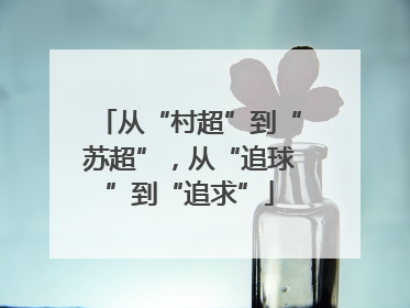从“村超”到“苏超”，从“追球”到“追求”