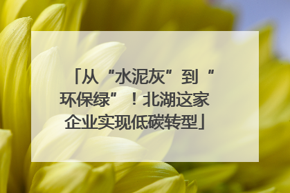 从“水泥灰”到“环保绿”！北湖这家企业实现低碳转型