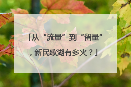 从“流量”到“留量”，新民歌湖有多火？