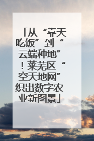 从“靠天吃饭”到“云端种地”！莱芜区“空天地网”织出数字农业新图景