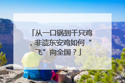 从一口锅到千只鸡，非遗东安鸡如何“飞”向全国？