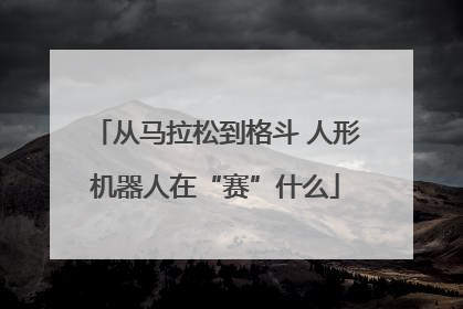 从马拉松到格斗 人形机器人在“赛”什么