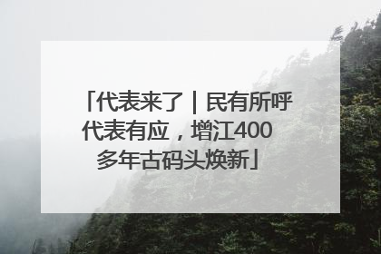 代表来了｜民有所呼代表有应，增江400多年古码头焕新