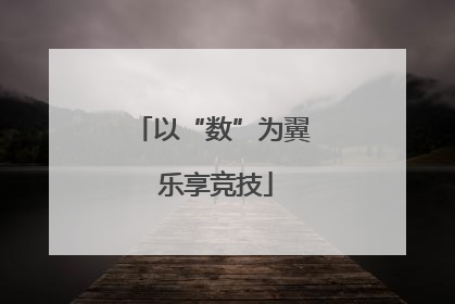 以“数”为翼 乐享竞技