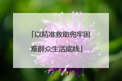以精准救助兜牢困难群众生活底线