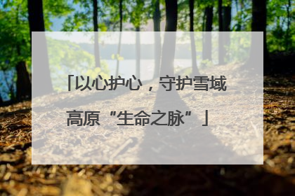 以心护心，守护雪域高原“生命之脉”