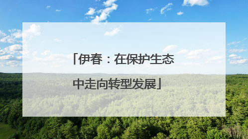 伊春：在保护生态中走向转型发展